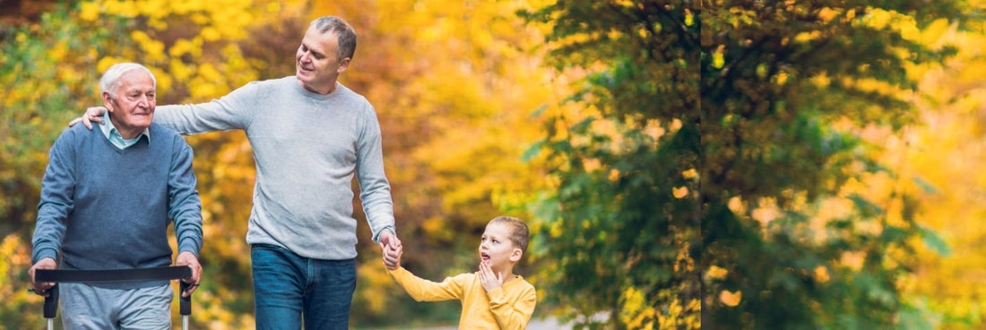 The Relationship Between Testosterone Levels and Dementia